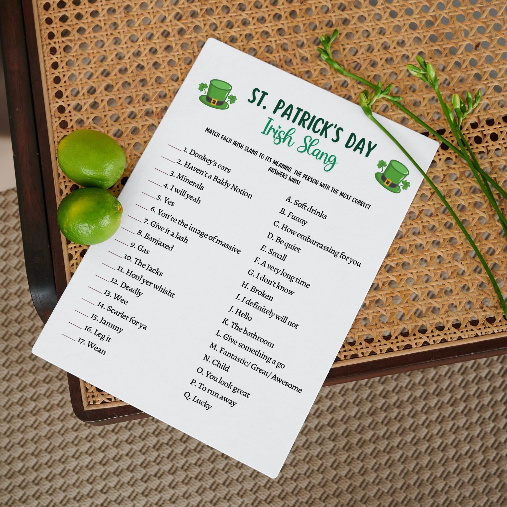 St Patrick's Day Irish Slang Game Printable, St Paddy's Party Games, St. Pattys Activity For Kids and Adults, Fun St Pats Day Classroom Game