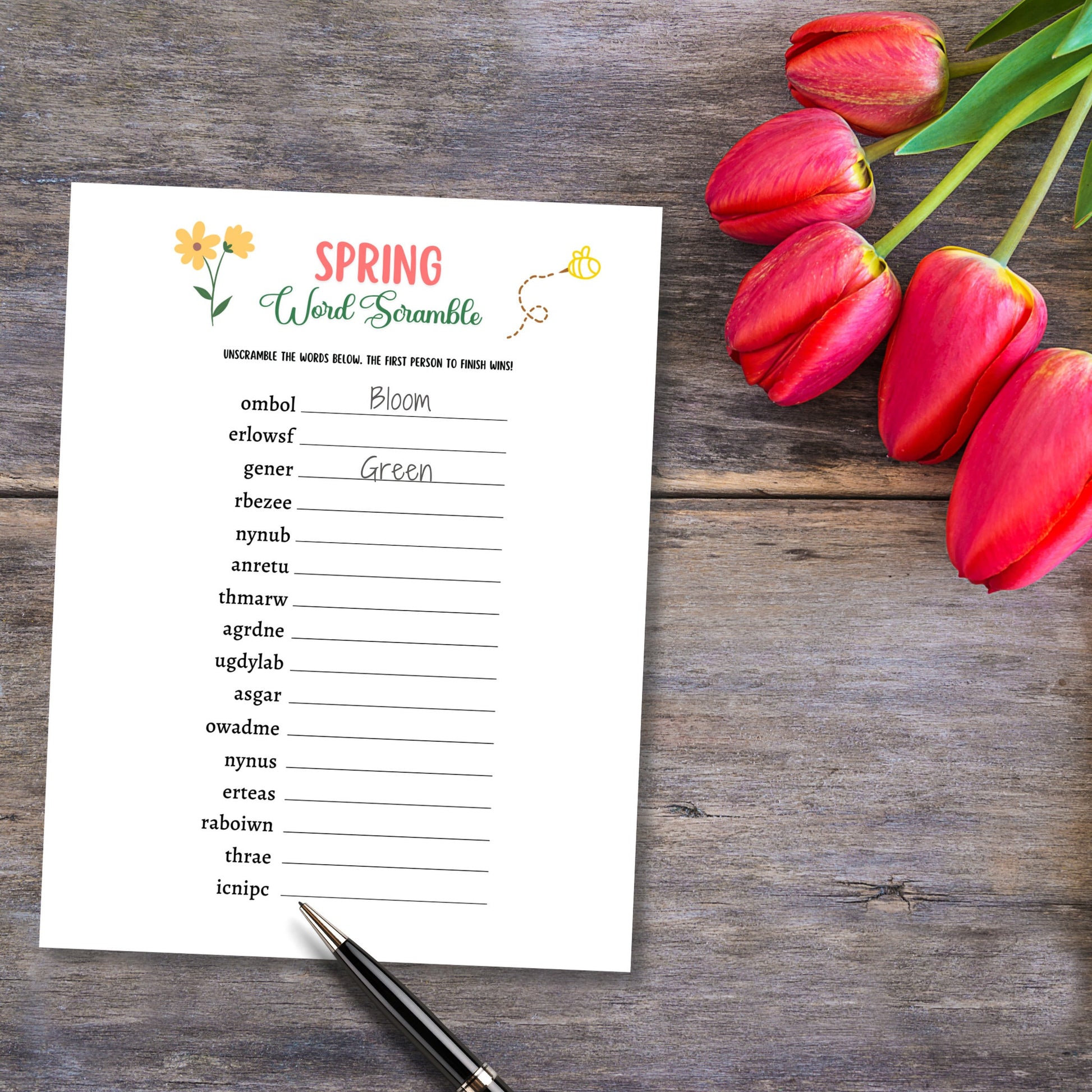 Spring Word Search Game Printable, Spring Activity Adults and Kids, Springtime Unscramble Party Game, Fun Family Group Game, Classroom Game