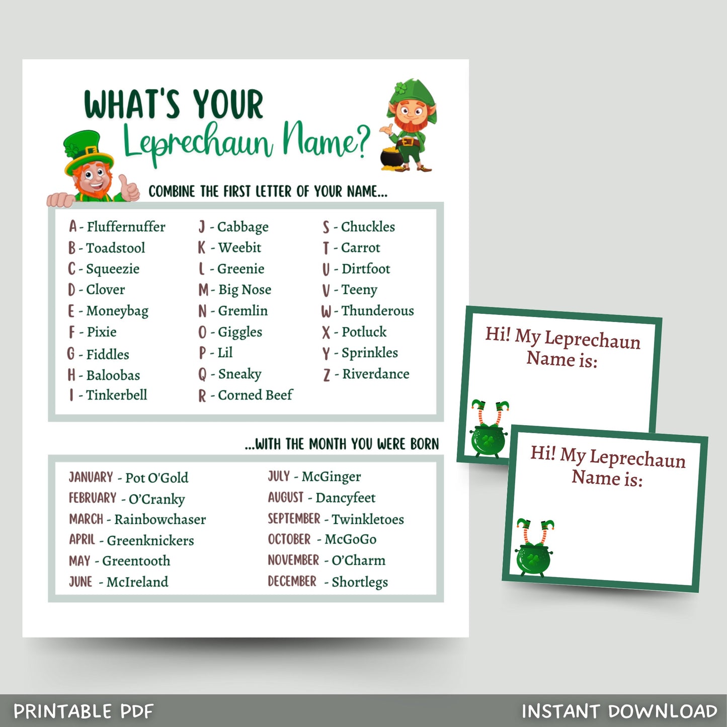 What's Your Leprechaun Name Game Printable, St. Patrick's Day Party Game, Classroom Games, St. Patty's Day Name Tags Kids Adults, St. Paddy