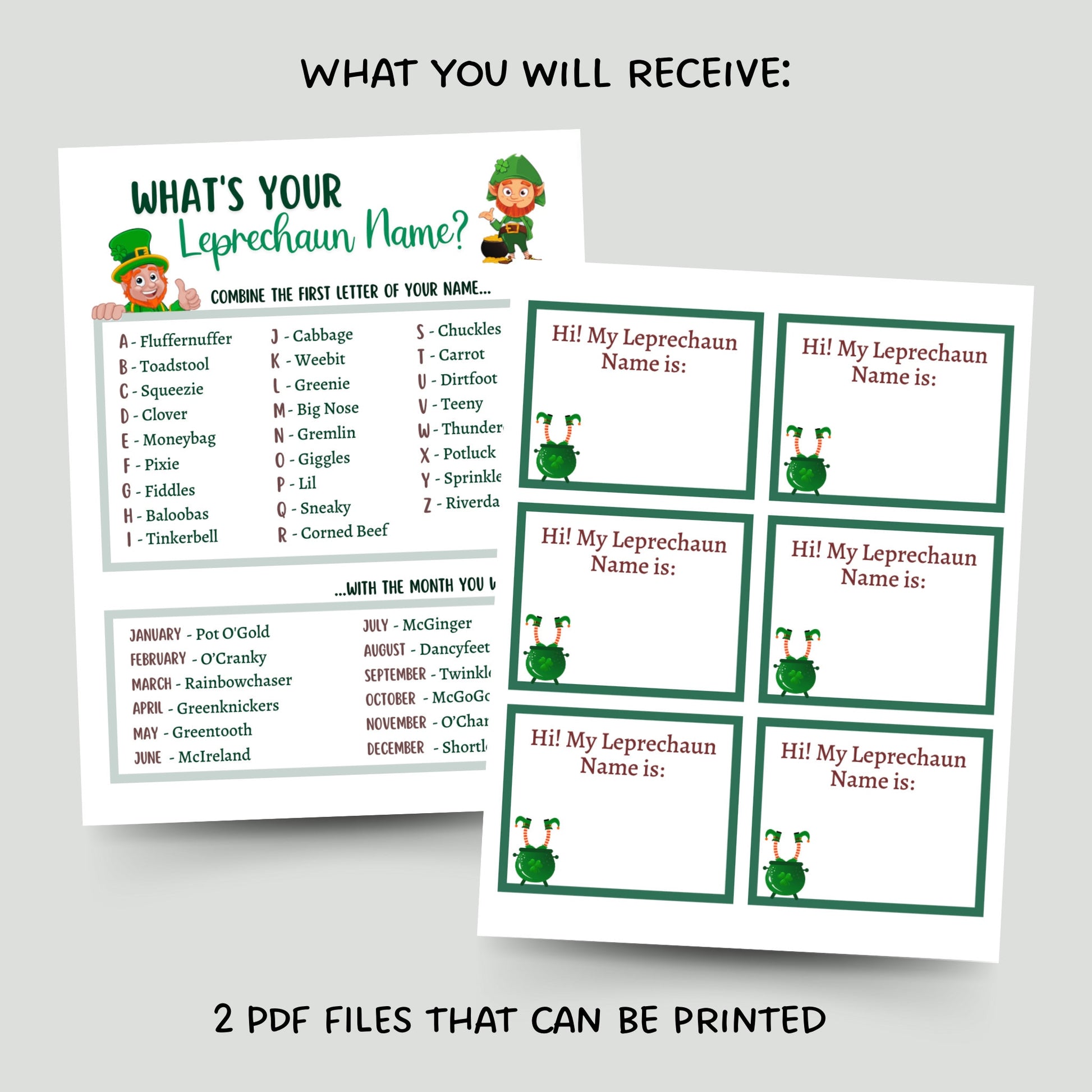 What's Your Leprechaun Name Game Printable, St. Patrick's Day Party Game, Classroom Games, St. Patty's Day Name Tags Kids Adults, St. Paddy
