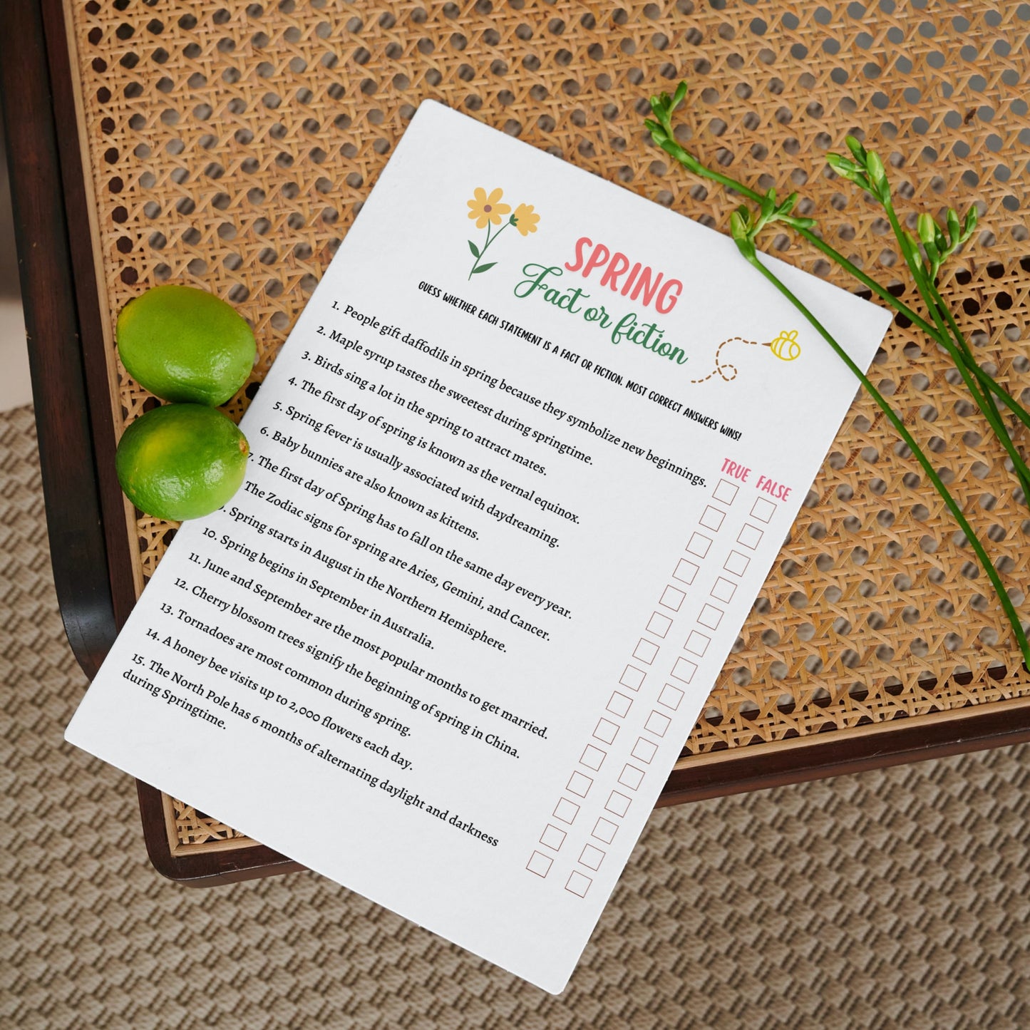 Spring Riddles Game Printable, Spring Activity Adults and Kids, Springtime Fact or Fiction Party Game, Fun Family Group Game, Classroom Game